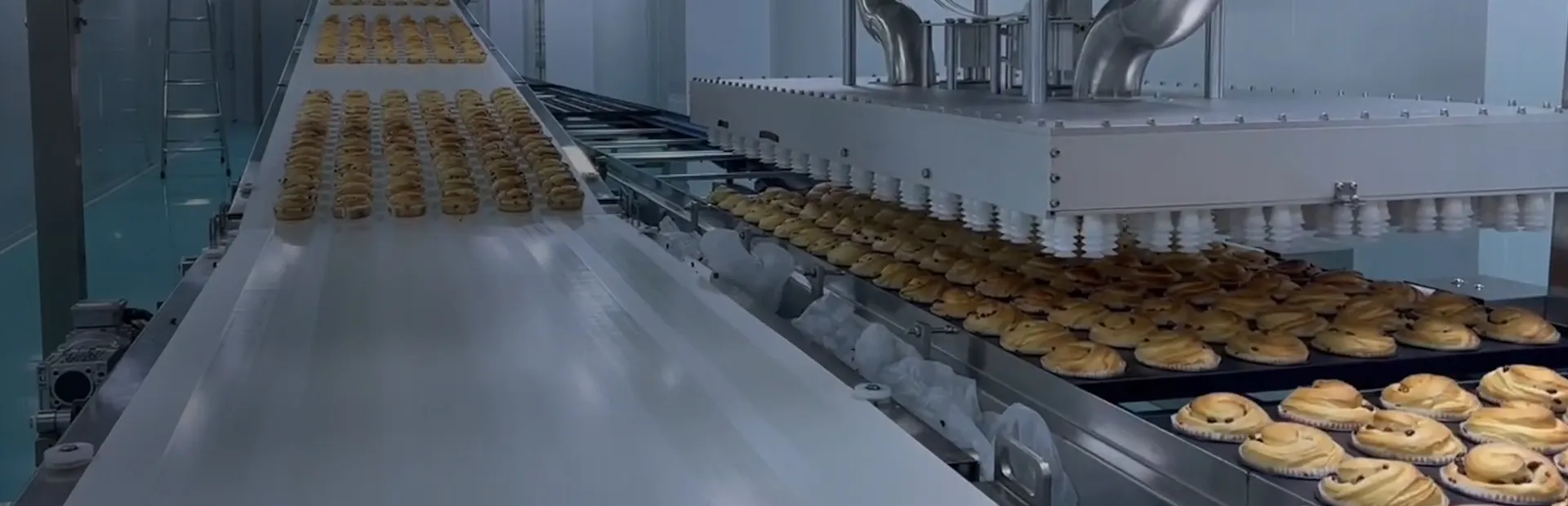 Soluciones integrales para panadería industriales