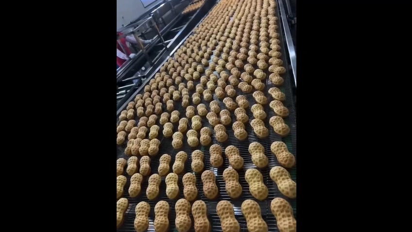 Bandejas industriales para hornear pasteles con forma de cacahuete